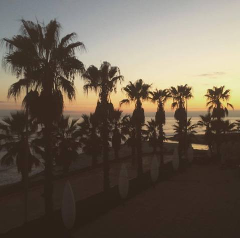 23584187_1506543869381315_1377897294_o