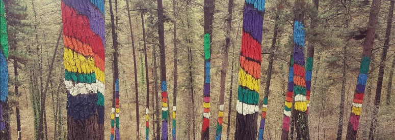 32104741_10215912693233787_1049991140184424448_n